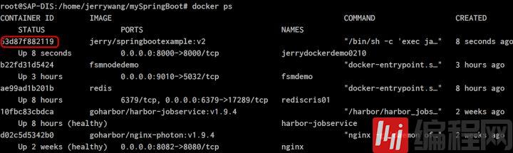 运行在Docker里的SpringBoot应用是如何查看记录在文件系统的日志