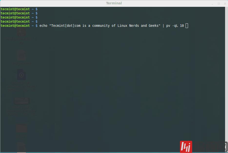 如何在Linux系统中使用pv命令