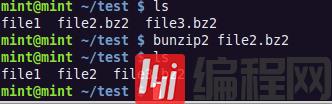 如何在Linux系统中使用Bzip2/Bunzip2处理压缩文件