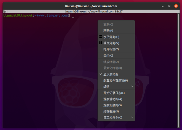 Ubuntu 20.04下如何更改默认终端为Terminator终端终结者