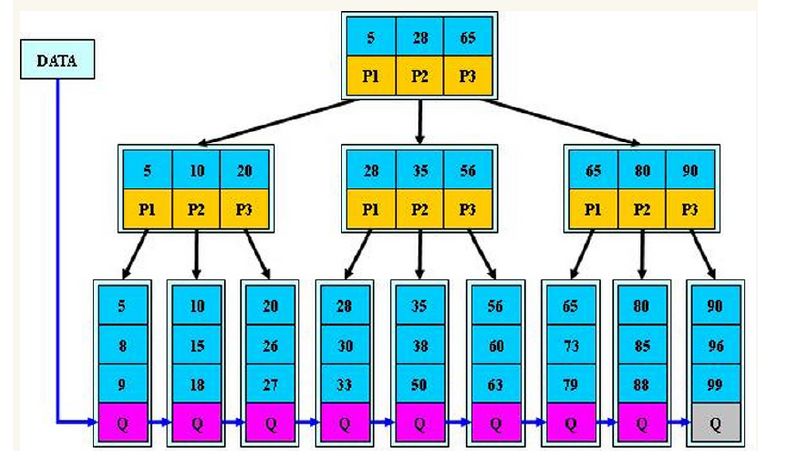 B+树在数据库索引中的作用是什么
