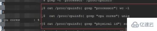 linux如何查看有几个cpu