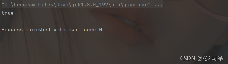 Java字符串操作的示例分析
