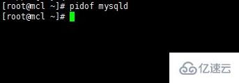 linux如何查看mysql是否启动