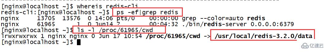 Linux系统如何查看redis安装目录