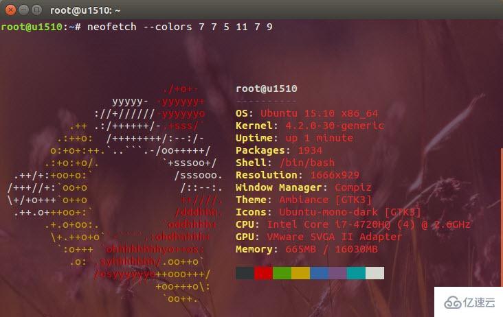 Linux中如何使用Neofetch显示系统信息