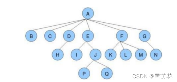 C语言中二叉树的示例分析