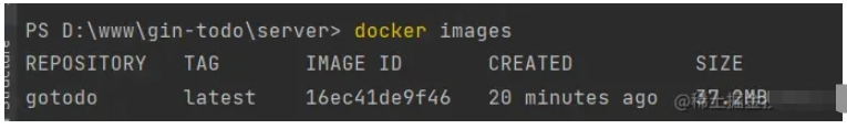 Docker怎么部署Go项目发布镜像到仓库
