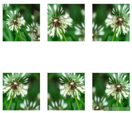 CNN如何解决Flowers图像分类任务