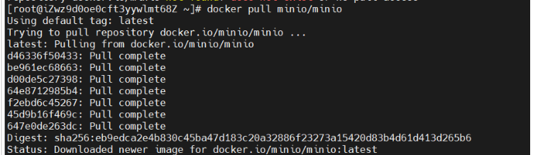 docker安装minio无法访问如何解决