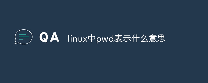 linux中pwd表示什么意思