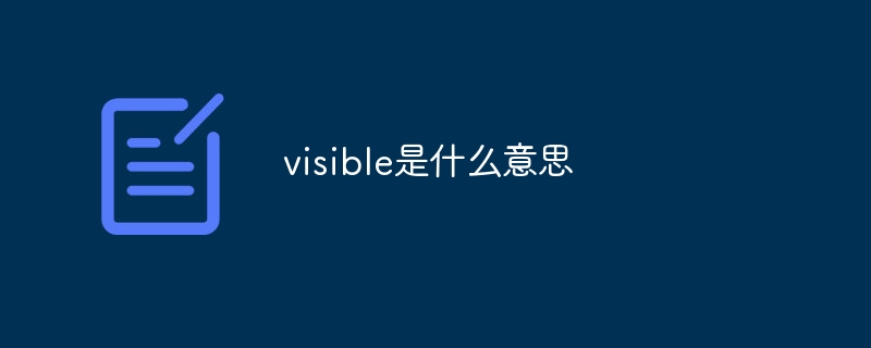 visible是什么意思
