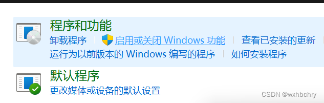 点击“启用或关闭 Windows 功能”